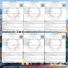 🎡 THẾ GIỚI GIẢI TRÍ VÔ TẬN: CHÚC MỪNG 12 VISA HỒNG KÔNG ĐÃ CẬP BẾN! 🎡