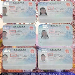 🌸 DƯỚI TÁN ĐÀO XUÂN: CHÚC MỪNG 39 VISA TRUNG QUỐC "VỀ ĐÍCH" RỰC RỠ!