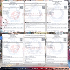 🎉HƯƠNG CẢNG VẪY GỌI: CHÚC MỪNG VISA HONGKONG ĐÃ VỀ TAY CÁC LỮ KHÁCH!