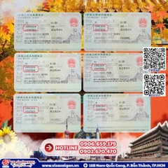 VISA TRUNG QUỐC ĐA DẠNG DIỆN "DẠO BỜ" - SẴN SÀNG CHẠM TAY VÀO MÙA LÁ VÀNG TRUNG HOA