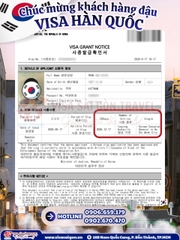 VISA HÀN QUỐC “VỀ BỜ” – TRỌN VẸN HÀNH TRÌNH ĐÓN THU & SĂN LÁ VÀNG RỰC RỠ!