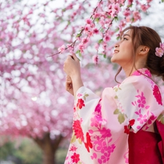 🌸 CÙNG NHAU DẠO BƯỚC DƯỚI CÁNH HOA RƠI: CHÚC MỪNG CẶP ĐÔI SỞ HỮU VISA NHẬT BẢN!🌸