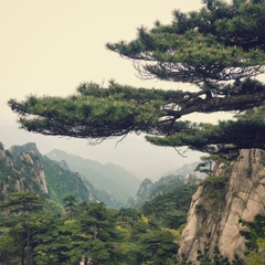 ⛰️ CHẠM BƯỚC THIÊN NHIÊN KỲ VĨ: CHÚC MỪNG VISA TRUNG QUỐC ĐÃ SẴN SÀNG TRÊN TAY! ⛰️