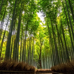 ☀️ KHÁM PHÁ TRUNG HOA DIỆU KỲ: CHÚC MỪNG VISA TRUNG QUỐC THUẬN LỢI "APPROVE"! ☀️