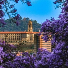 🌿 CHÚC MỪNG VISA NAM PHI: ĐÓN NẮNG PHƯƠNG NAM, KHAI XUÂN TẠI PRETORIA! 🌍