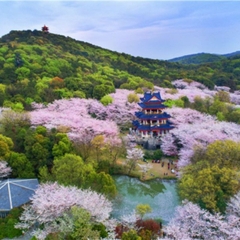 🧧 ĐÓN XUÂN BÍNH NGỌ: CHÚC MỪNG 27 CHỦ NHÂN VISA TRUNG QUỐC "XUẤT BẾN"!