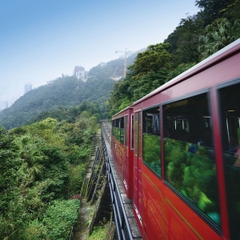 🎉HƯƠNG CẢNG VẪY GỌI: CHÚC MỪNG VISA HONGKONG ĐÃ VỀ TAY CÁC LỮ KHÁCH!