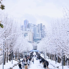 ✨CHÚC MỪNG VỊ KHÁCH SỞ HỮU "TẤM VÉ QUYỀN LỰC" - VISA HÀN QUỐC MULTI 5 NĂM! 💎