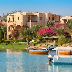 🏜️ CHẠM TAY VÀO HUYỀN THOẠI: 25 VISA AI CẬP CHÍNH THỨC CẬP BẾN! 🏜️