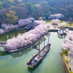 THỨ SÁU RỘN RÀNG: CHÚC MỪNG 21 KHÁCH HÀNG ĐẬU VISA TRUNG QUỐC! 🚀