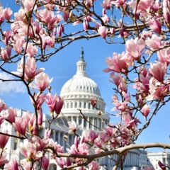 GIA HẠN VISA MỸ DỄ DÀNG 2026