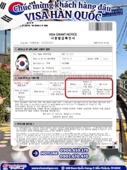 VISA HÀN QUỐC “VỀ BỜ” – TRỌN VẸN HÀNH TRÌNH ĐÓN THU & SĂN LÁ VÀNG RỰC RỠ!