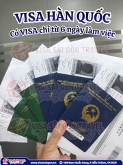 VISA HÀN QUỐC 5 NĂM MULTIPLE "PASS" CẢ GIA ĐÌNH – RỰC RỠ HÀNH TRÌNH XỨ HÀN MÙA LÁ VÀNG!
