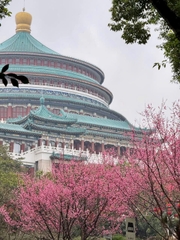 Kinh nghiệm du Lịch Trung quốc Đầu Năm 2025