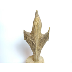 Gốc trầm