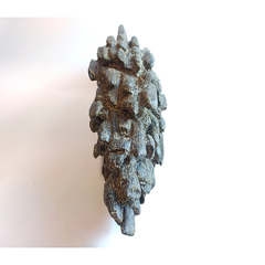 Gió bầu cảnh