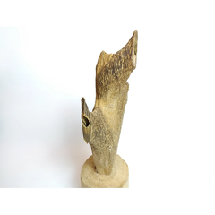 Gốc trầm