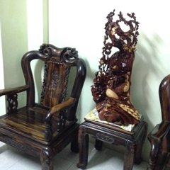 Mai Hồng Trĩ gỗ hương Gia Lai