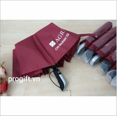 Ô gập 3 (tự động 2 chiều, xương 10 nan)
