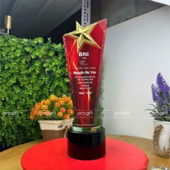 Kỉ niệm chương, biểu trưng pha lê, cúp pha lê