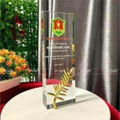 Kỉ niệm chương, biểu trưng pha lê, cúp pha lê