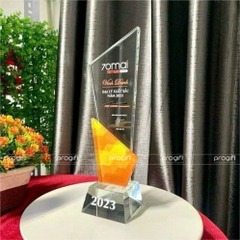 Kỉ niệm chương, biểu trưng pha lê, cúp pha lê