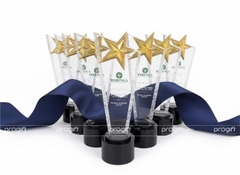 Kỉ niệm chương, biểu trưng pha lê, cúp pha lê