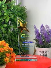 Kỉ niệm chương, biểu trưng pha lê, cúp pha lê