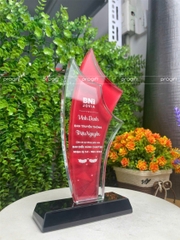 Kỉ niệm chương, biểu trưng pha lê, cúp pha lê