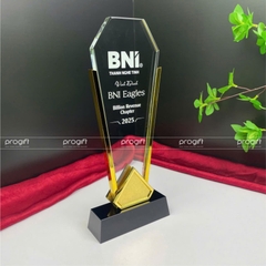 Kỉ niệm chương, biểu trưng pha lê, cúp pha lê