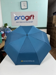 Vietnam Airline - Ô cầm tay