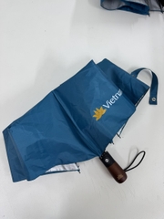 Vietnam Airline - Ô cầm tay