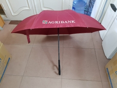 Ô ngược thông minh Agribank