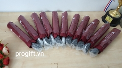 Ô gập 3 (tự động 2 chiều, xương 10 nan)