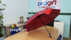 Ô gập 3 (tự động 2 chiều, xương 10 nan)