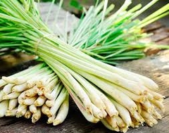 Sả sấy AD