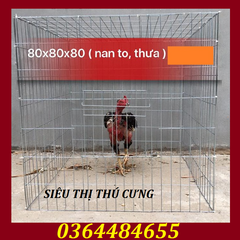 LỒNG NUÔI GÀ CHỌI KHÔNG KHAY TÔN-LỒNG NHỐT GÀ 80X80-LỒNG CHỤP GÀ CHỌI0396114592