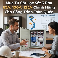 Mua Tủ Cắt Lọc Sét 3 Pha 63A, 100A, 125A Chính Hãng Cho Công Trình Toàn Quốc