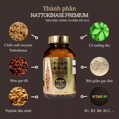 Viên Uống Hỗ Trợ Điều Trị Tai Biến Nichiei Bussan Nattokinase Premium 10.000FU Nhật Bản 330 Viên