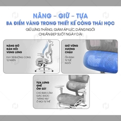 Ghế công thái học HTD-905 Full lưới thoáng khí
