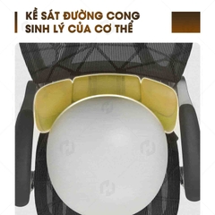 Ghế công thái học HTD-W892 thiết kế chuẩn y khoa
