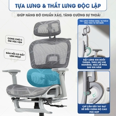 Ghế công thái học full lưới HTD-LS900 Chống đau lưng