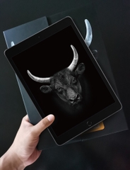 Miếng dán cường lực MIPOW KINGBULL PREMIUM HD (2.7D) cho iPad Pro 12.9 inch (2018-2021)
