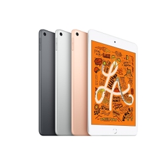 iPad Mini 5 2019 (WIFI)