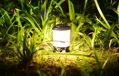 ĐÈN PIN CẮM TRẠI