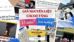 GIÁ NGUYÊN LIỆU CACO3 TĂNG - DOANH NGHIỆP CẦN LÀM GÌ ĐỂ TỐI ƯU CHI PHÍ