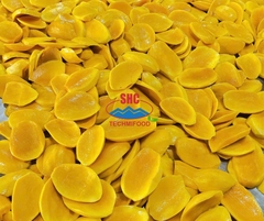 Soft Dried Mango