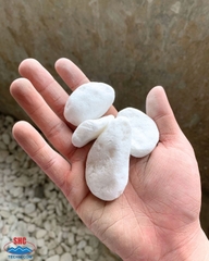 SNOW WHITE PEBBLE STONE