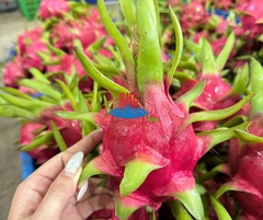 White Dragon Fruit