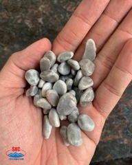 GRAY PEBBLE STONE